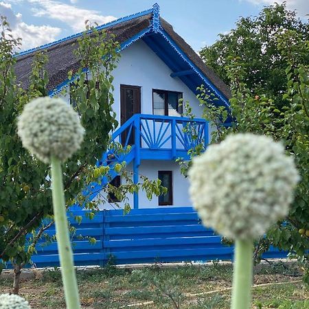Casa Enisala 게스트하우스 외부 사진